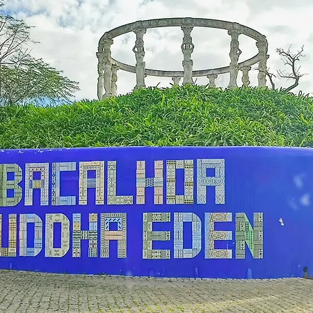 Historic Vineyard Retreat - 1785 Country In Peral * Peral (Lisbon)