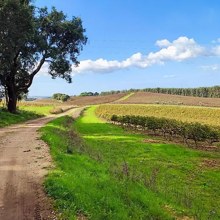 Historic Vineyard Retreat - 1785 Country In Peral בית נופש *