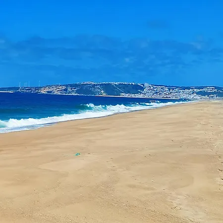 Historic Vineyard Retreat - 1785 Country In Peral בית נופש Peral (Lisbon)