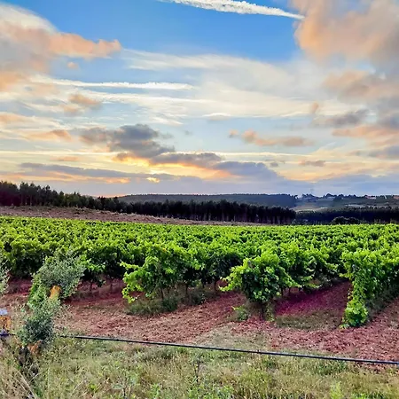 בית נופש Historic Vineyard Retreat - 1785 Country In Peral