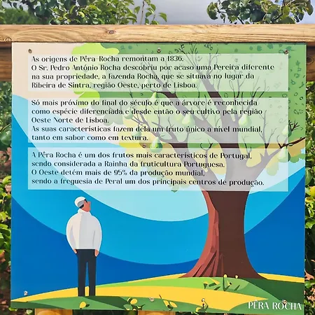 Historic Vineyard Retreat - 1785 Country In Peral *