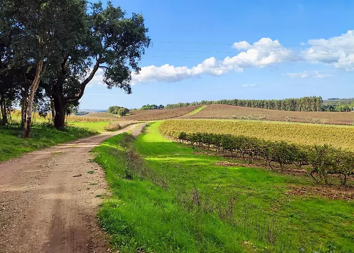 Historic Vineyard Retreat - 1785 Country In Peral Casa vacanze *