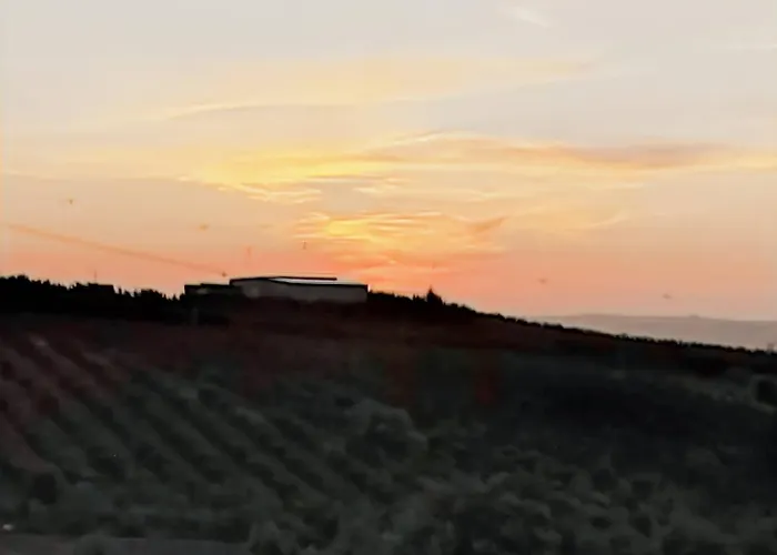 Historic Vineyard Retreat - 1785 Country In Peral Peral (Lisbon)