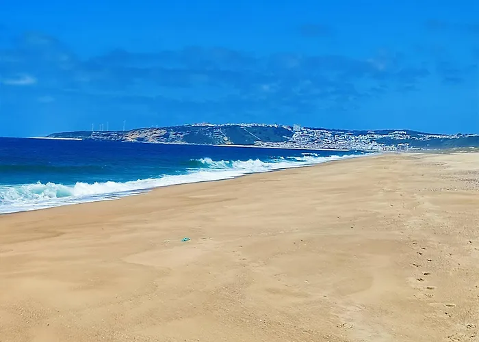 Historic Vineyard Retreat - 1785 Country In Peral Casa vacanze Peral (Lisbon)