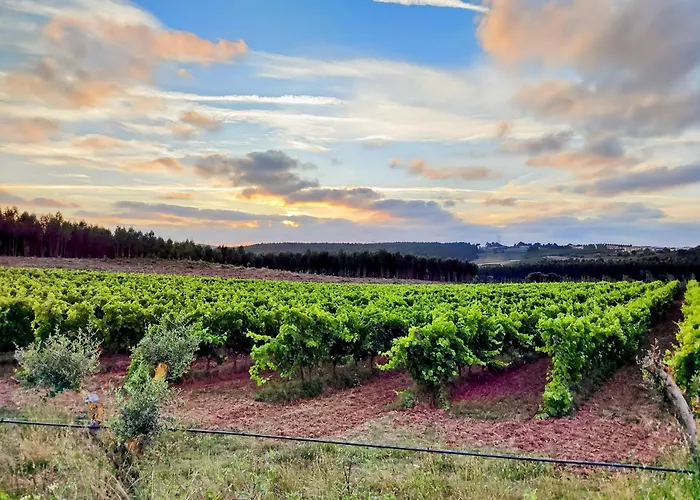 Casa vacanze Historic Vineyard Retreat - 1785 Country In Peral